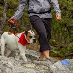 EMS Women's Compass 4-Points Trek Capri -Nicestyle Shop 2065248 001 alt3