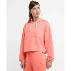 CHAMPION Women's Soft Touch Sweats Hoodie 9 CHAMPION Women's Soft Touch Sweats Hoodie -Nicestyle Shop 2084721 809 alt2